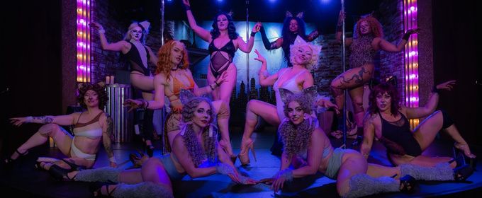 CATS and PUSSY CATS to Run Simultaneously in Berkeley This June
