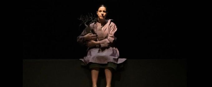 EDINBURGH 2026 Review: A DARK LINE UPSTAIRS, Zoo Playground