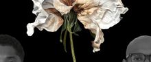 WHITE LILIES to Make World Premiere at 2026 Hollywood Fringe Festival