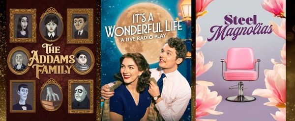 THE ADDAMS FAMILY, SOMETHING ROTTEN! and More Set for Studio Tenn 2026-27 Season
