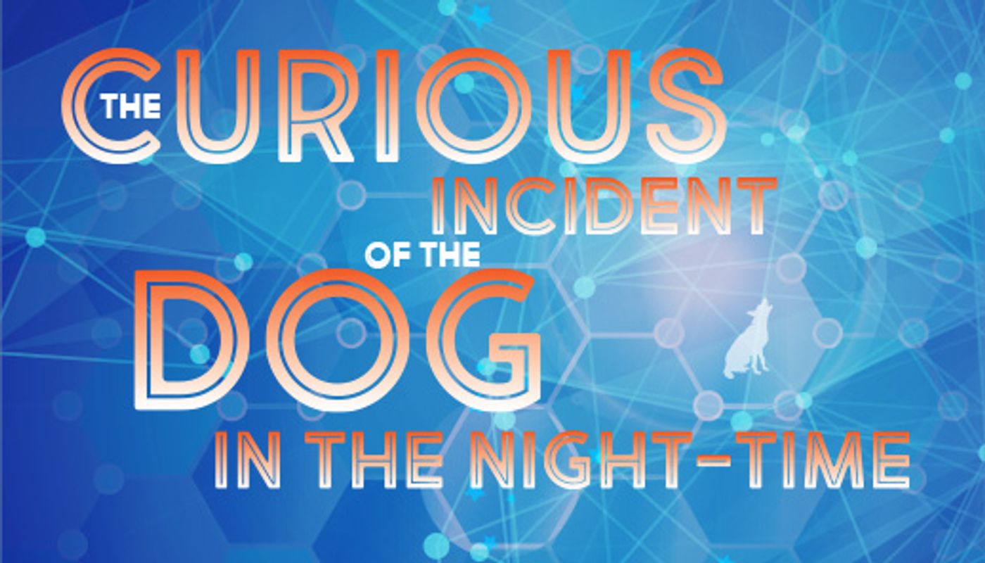 Manoa Valley Theatre Presents THE CURIOUS INCIDENT OF THE DOG IN THE NIGHT-TIME  Image