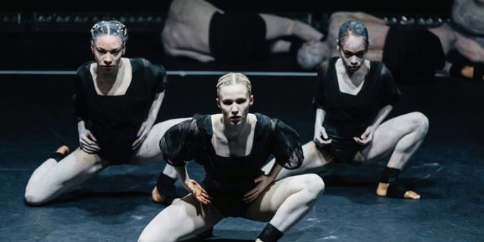 92NY Harkness Dance Center to Present GALLIM: BLUSH in April 2026 Photos