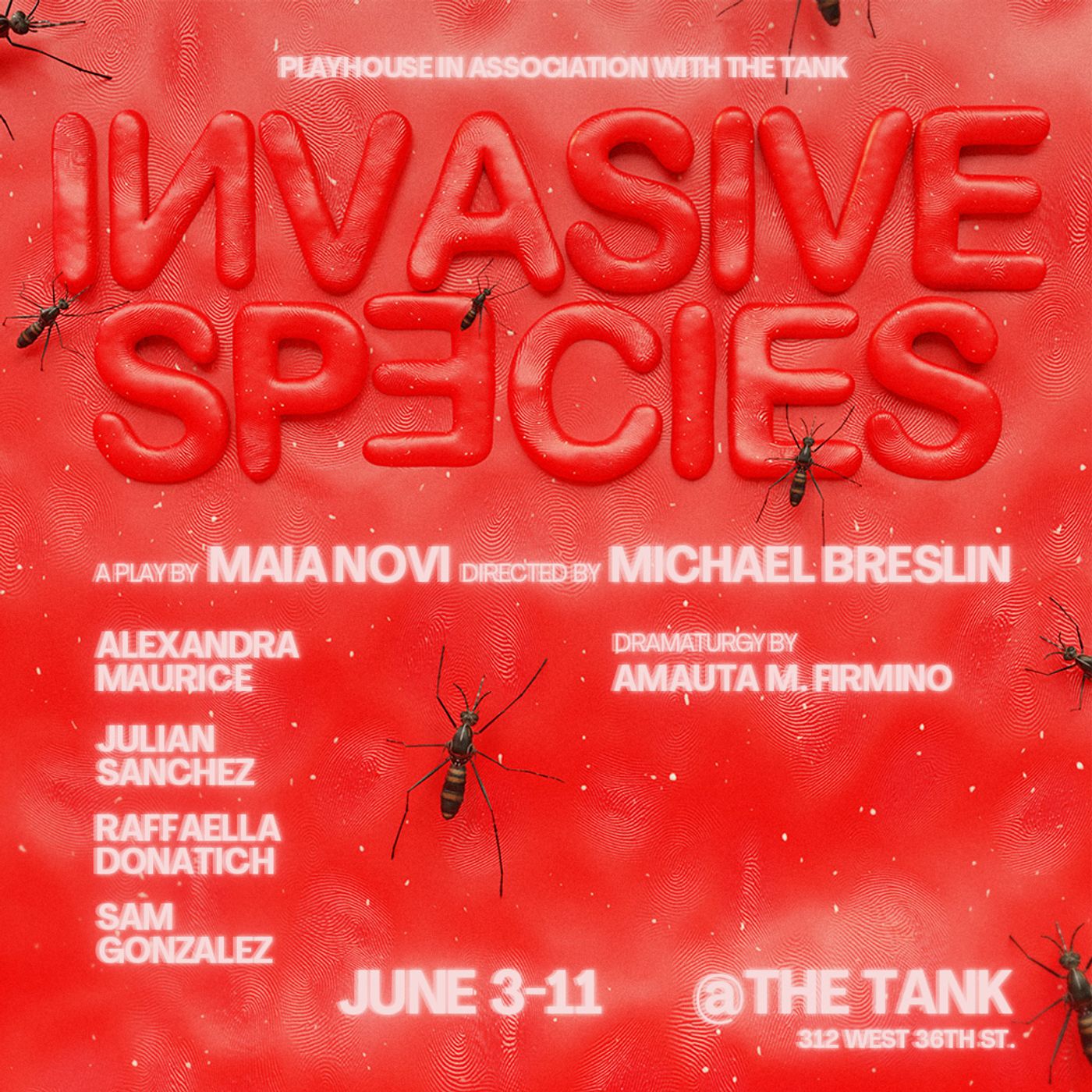 Michael Breslin Directs New Play INVASIVE SPECIES At The Tank  Image