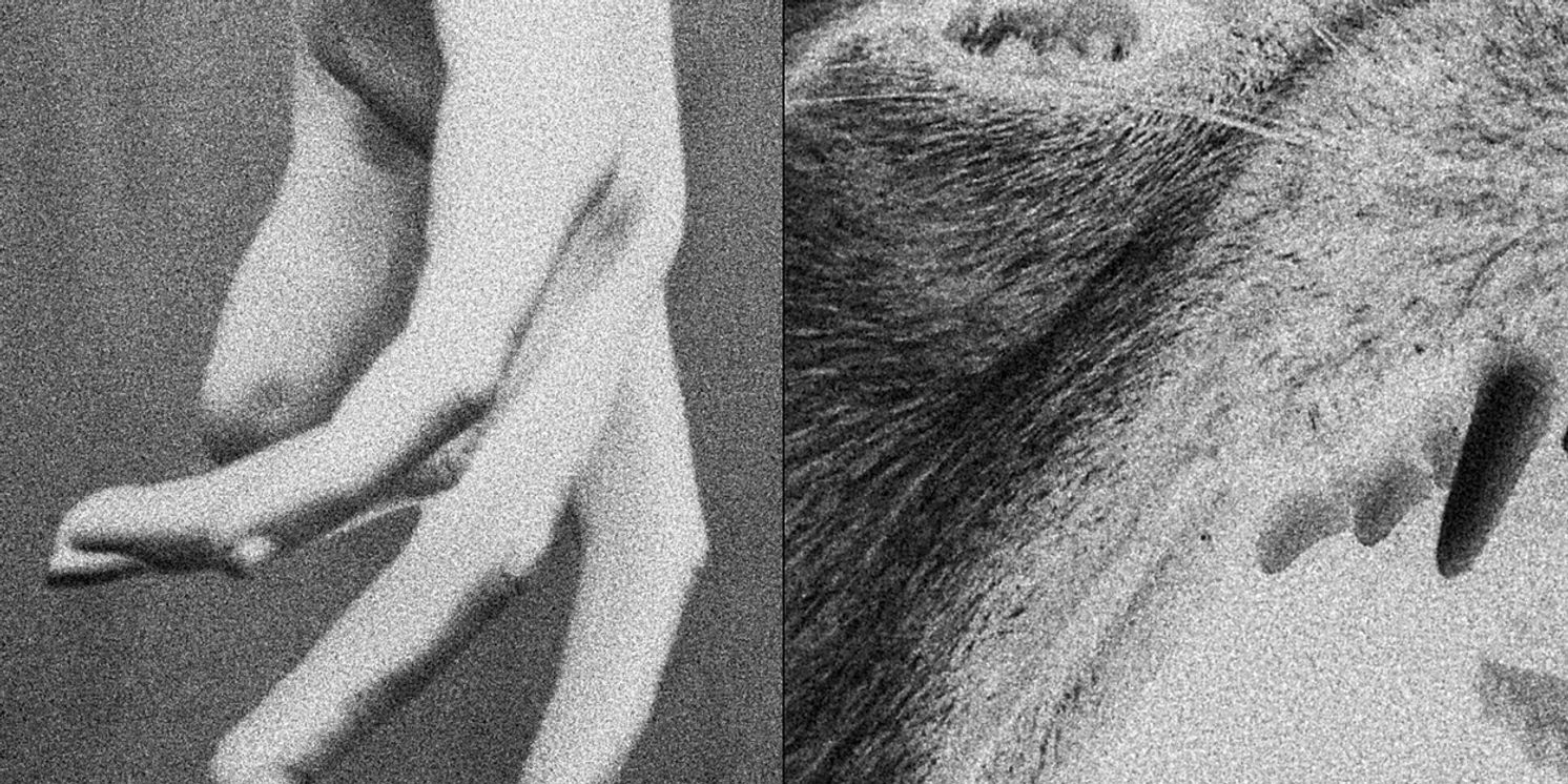 A BODY POSSESSED Comes to Underground Theatre  Image