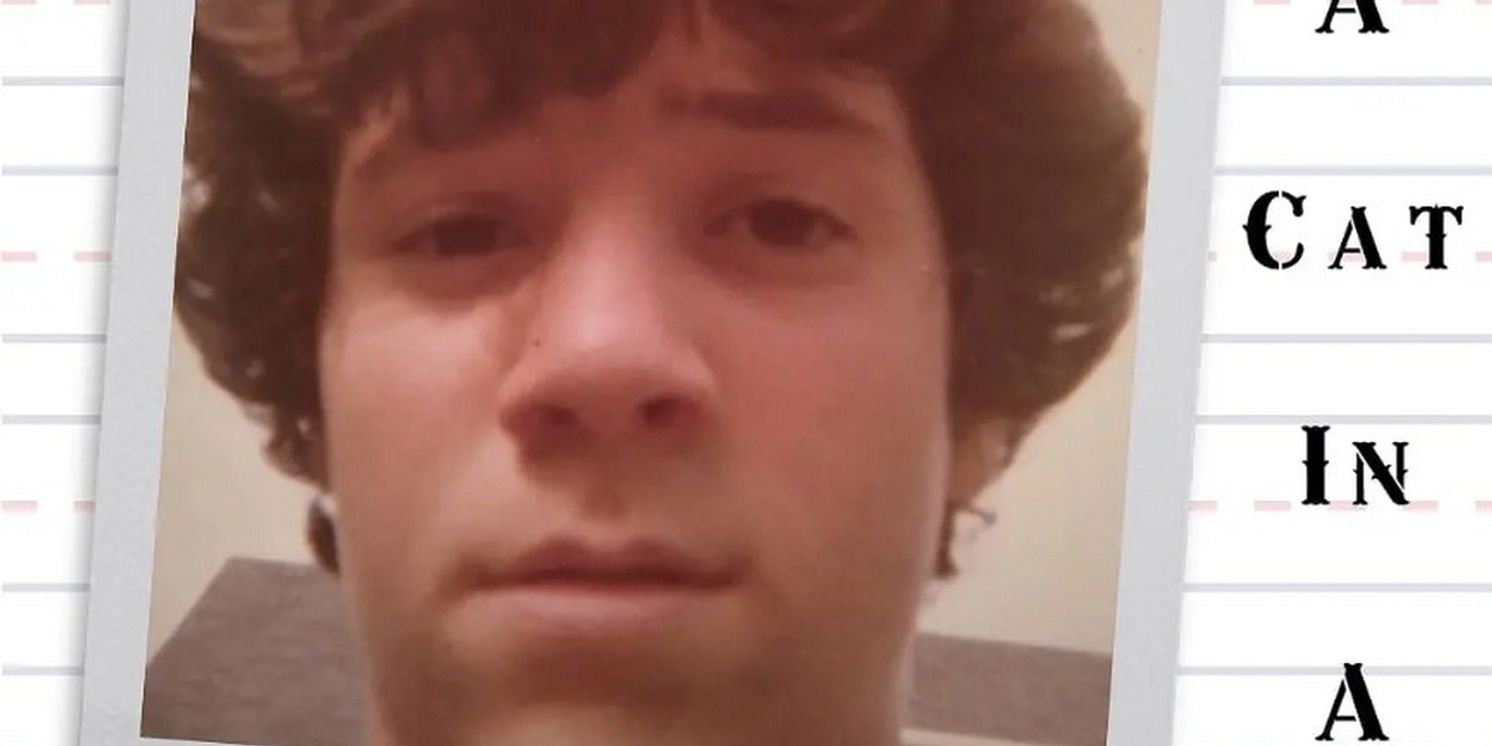 A CAT IN A BOX Comes to The Tank NYC This November  Image