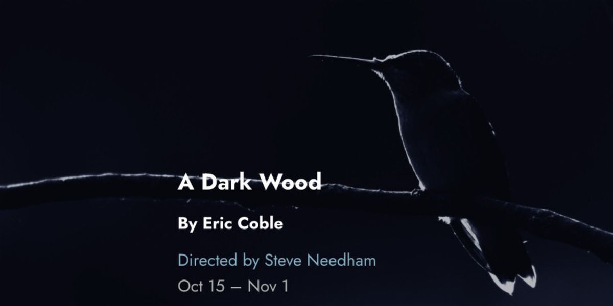 A DARK WOOD Tickets to Go On Sale for Tin Drum Theatre's Chicago Premiere