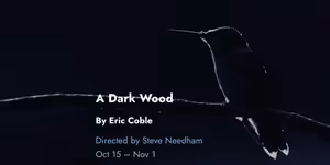 A DARK WOOD Tickets to Go On Sale for Tin Drum Theatre's Chicago Premiere