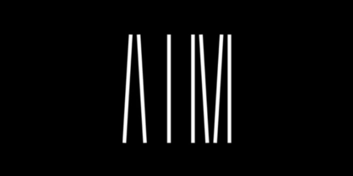A.I.M by Kyle Abraham Announces Emily Waters as its New Executive Director