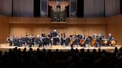 A MIDSUMMER NIGHT'S DREAM to Open Camerata Chicago Season Photo