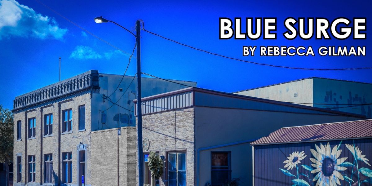 A Staged Reading Of Rebecca Gilman's BLUE SURGE is Coming to Chain Theatre