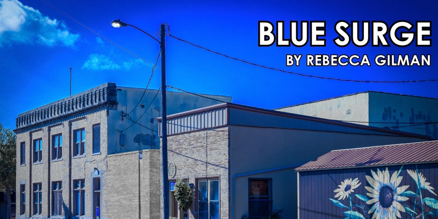 A Staged Reading Of Rebecca Gilman's BLUE SURGE is Coming to Chain Theatre  Image