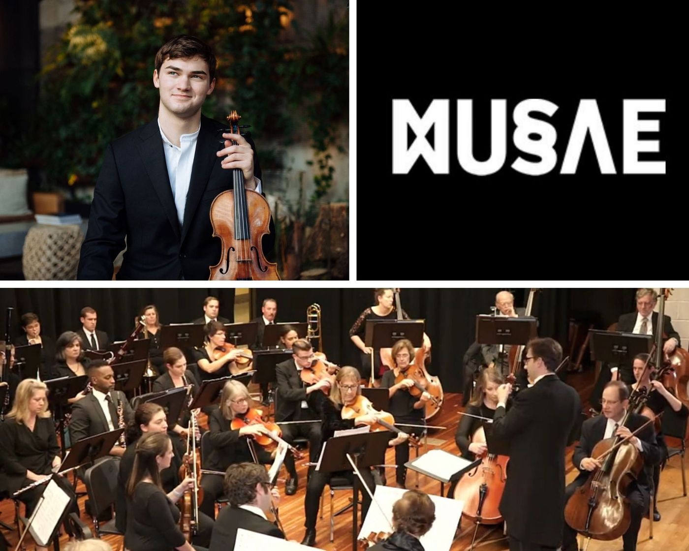 Adelphi Orchestra To Celebrate National Arts And Humanities Month  Image
