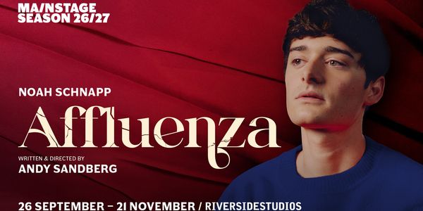Stranger Things' Noah Schnapp to Make Stage Debut in AFFLUENZA At Riverside Studios Photo