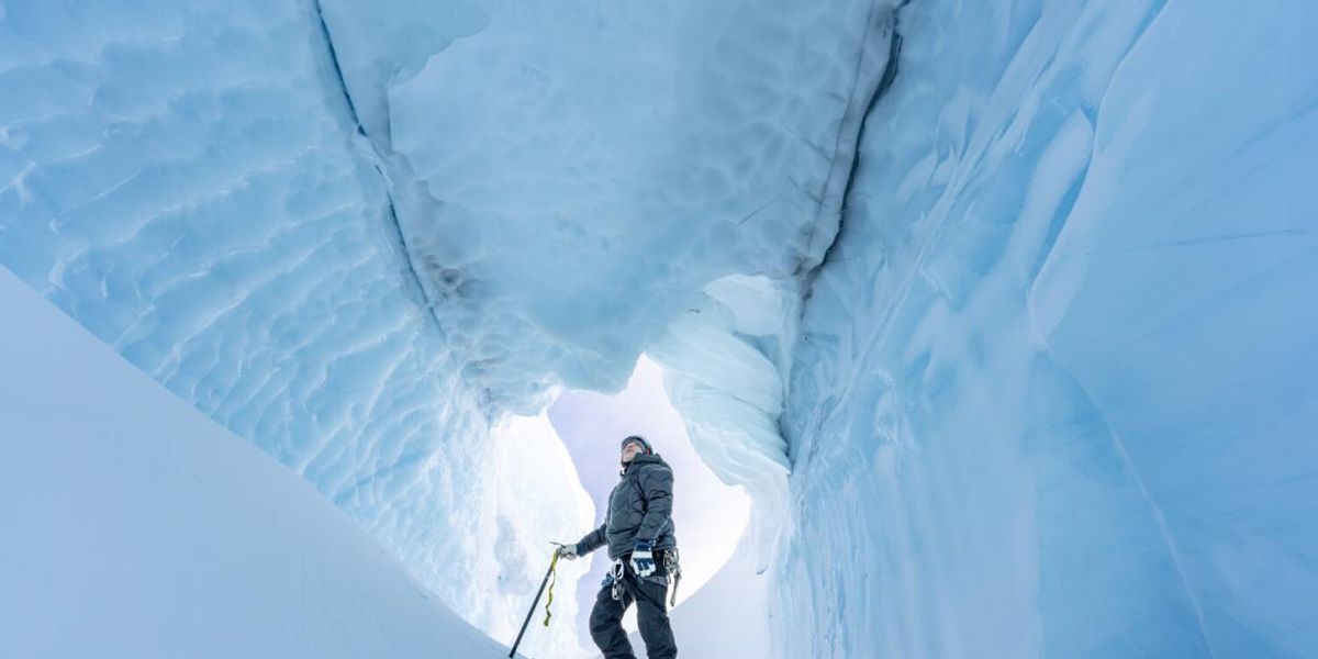 AGES OF ICE to Premiere on PBS, Narrated by David Tennant