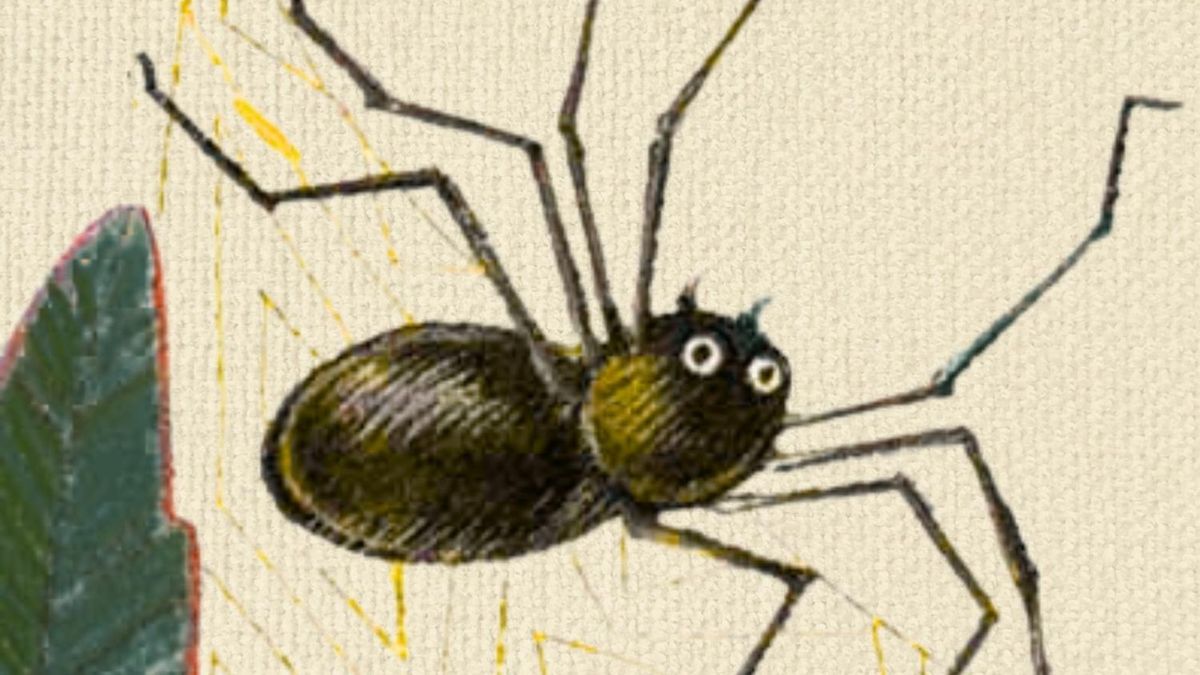 ANANSI THE SPIDER Will Open at Curio Theatre Company