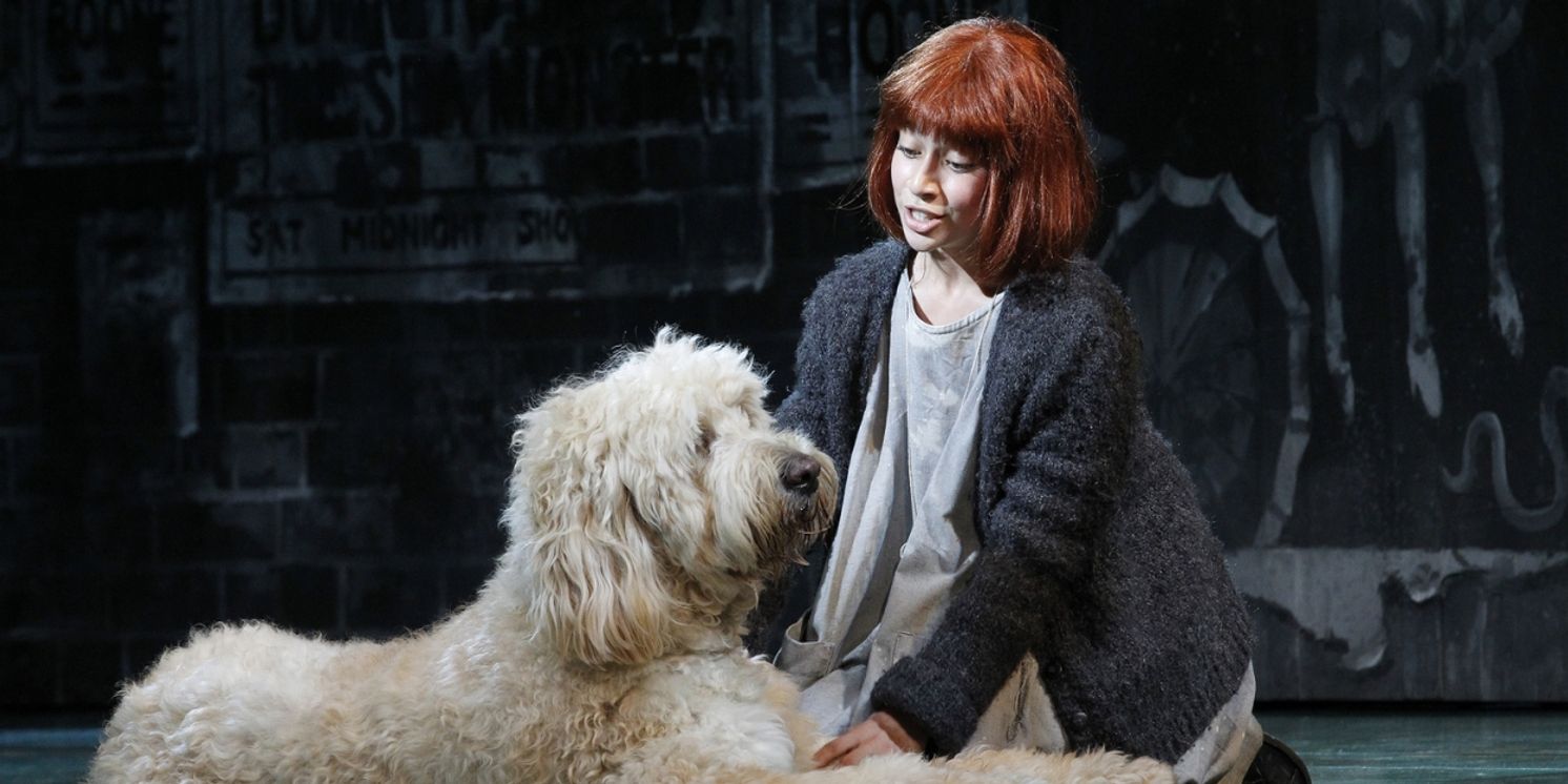 ANNIE to Return to Australia in 2025  Image