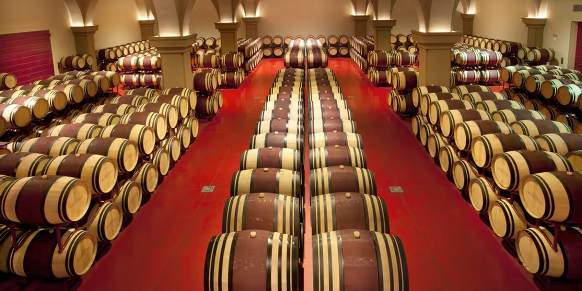 Savor ARGENTIERA WINES from Tuscany