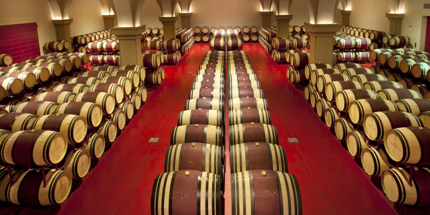 Savor ARGENTIERA WINES from Tuscany  Image