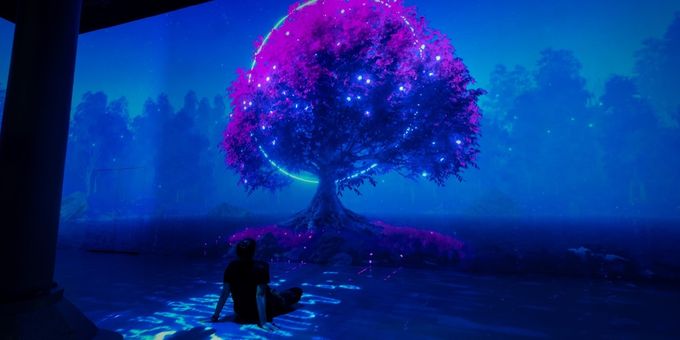 ARTECHOUSE NYC Offers Free Admission for Kids on Snow Days Photos