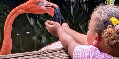 ARTS FROM A TO Z Showcase Will Come to Galleria Fort Lauderdale Photo