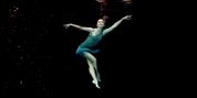 ASCENDANCE Film to Premiere at SoCal Ballet Scene's 2026 Ballet Festival Photo