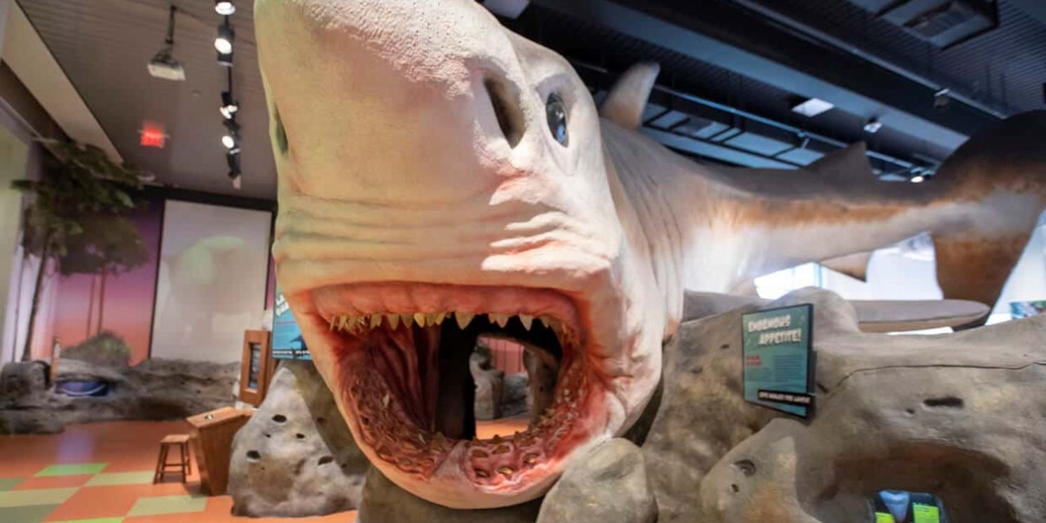 August Brings Blockbusters, Dinosaurs, and Gabby’s Dollhouse to The Museum Of Discovery and Science  Image