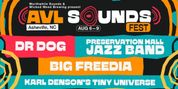 AVL Sounds Fest To Return To Asheville Photo