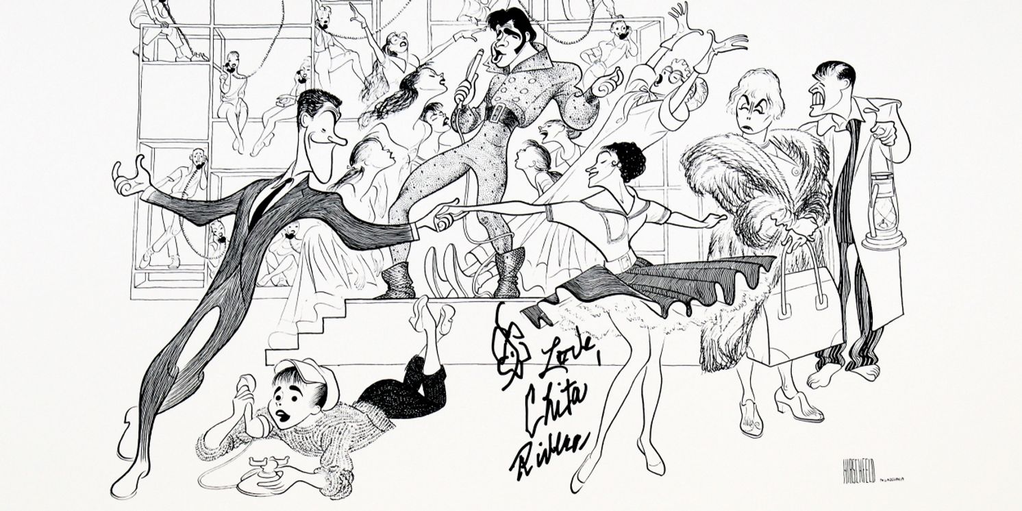 Al Hirschfeld Prints Signed By Cher, Chita Rivera & More to be Auctioned Off  Image
