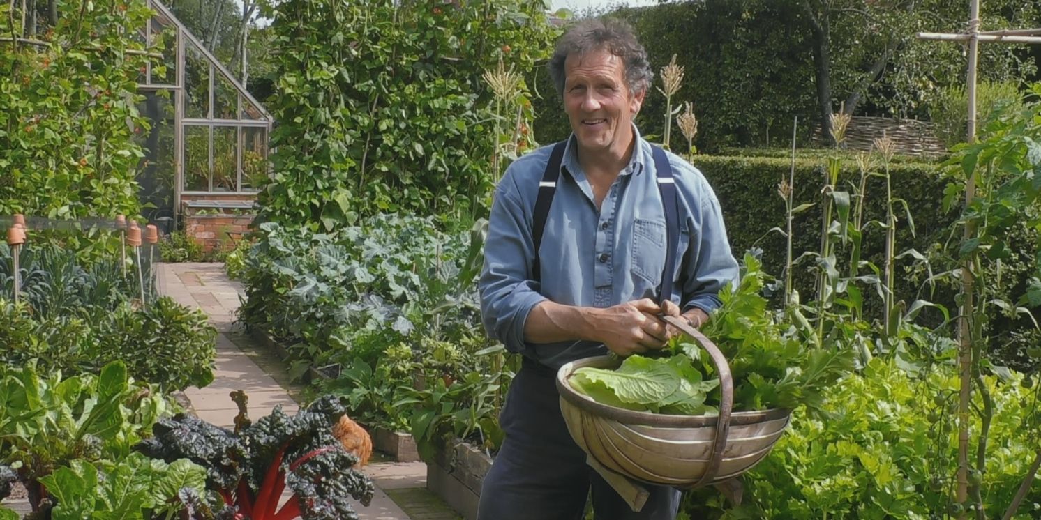 All3Media International Launches FAST Channels For Popular British Lifestyle Shows On Amazon Freevee  Image