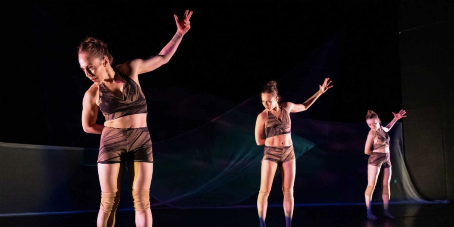 Amanda Selwyn Dance Theatre to Present October Open Rehearsal  Image