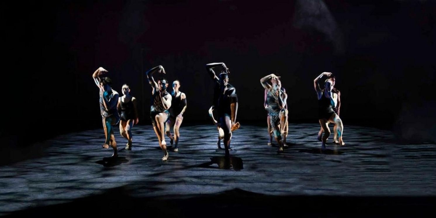 Amanda Selwyn Dance Theatre to Present ROOTED & RISING 26th Season Gala  Image