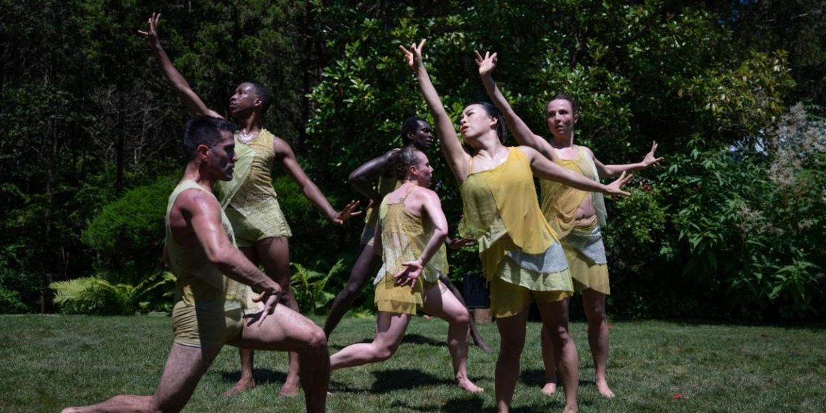 Amanda Selwyn Dance Theatre Will Host Green Afternoon XI
