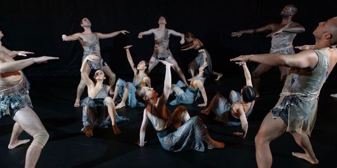 Amanda Selwyn Dance Theatre to Host Fifth Annual FOOTPRINTS Dance Festival in 20 Photos