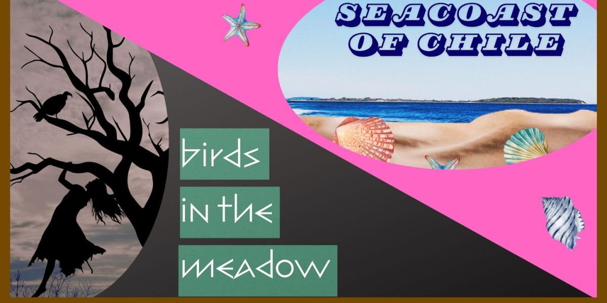 American Theatre of Actors to Present Double Feature: THE SEACOAST OF CHILE and BIRDS IN THE MEADOW