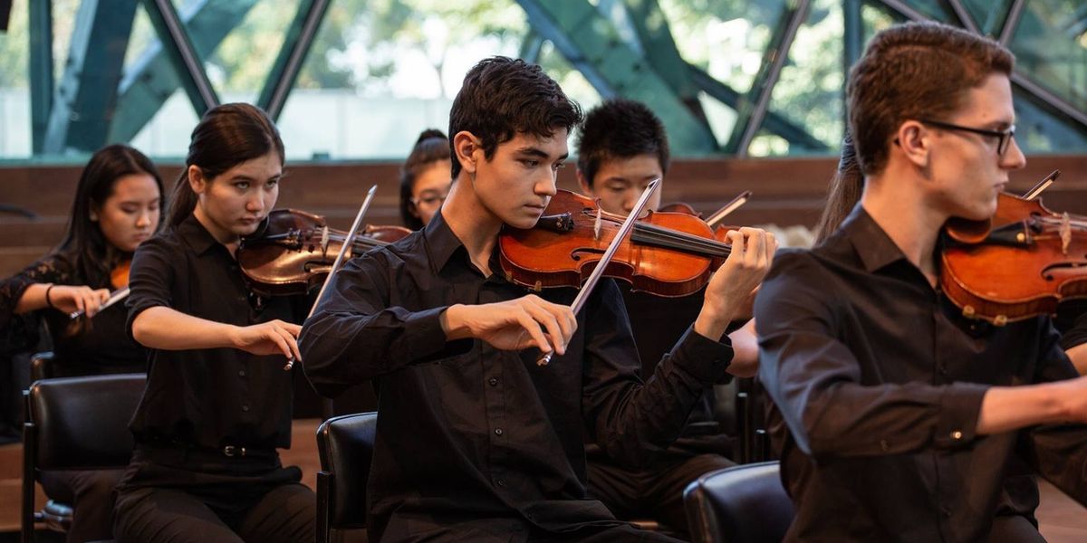 American Youth Chamber Orchestra Opens Enrollment for 2026 Chamber Music Programs