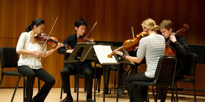American Youth Chamber Orchestra to Hold Auditions for Summer 2026 Program Photos