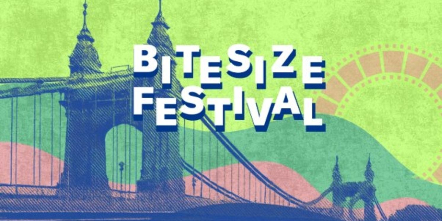 Applications Now Open For Bitesize Festival Vii At Riverside Studios  Image