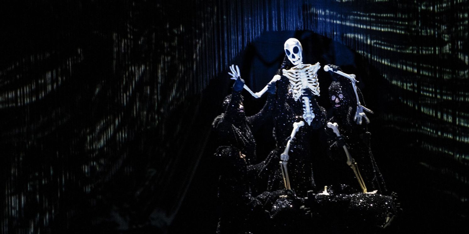 ArtsEmerson Will Present DEAD AS A DODO in February 2026  Image