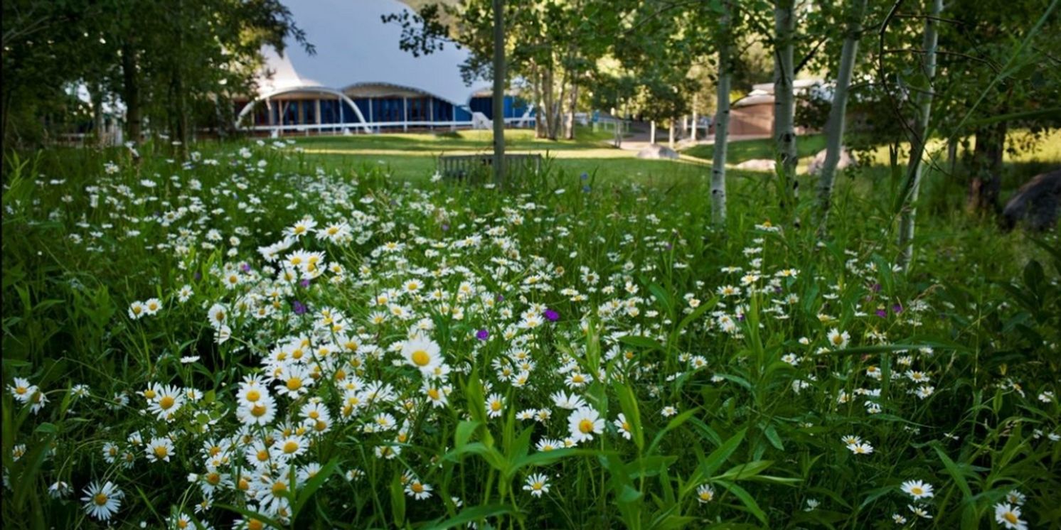 Aspen Music Festival Announces New Media Partnerships  Image