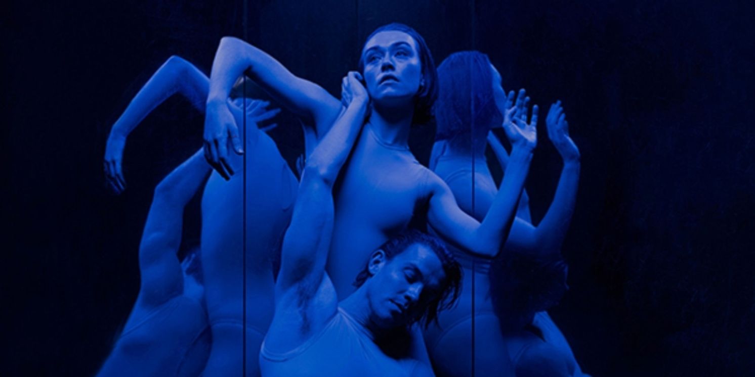 Australasian Dance Collective's BLUE Celebrates 40 Years  Image