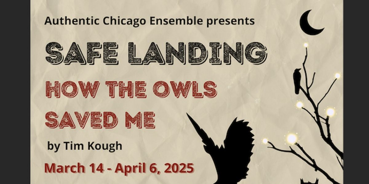 Authentic Chicago Ensemble to Present Inaugural Production, SAFE LANDING: How The Owls Saved Me
