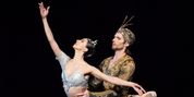 BAJADERA is Now Playing at Teatr Wielki Photo