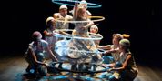 BALLET SHOES National Theatre Tour to Begin August 2027 with Anton Du Beke Photo