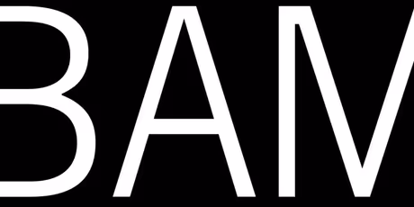 BAM (Brooklyn Academy of Music) Unveils Fall 2026 Season and Next Wave Photo