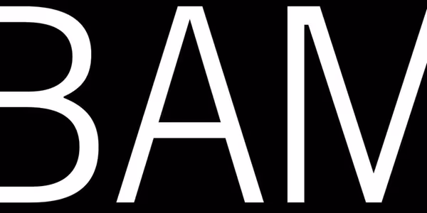 BAM (Brooklyn Academy of Music) Unveils Fall 2026 Season and Next Wave