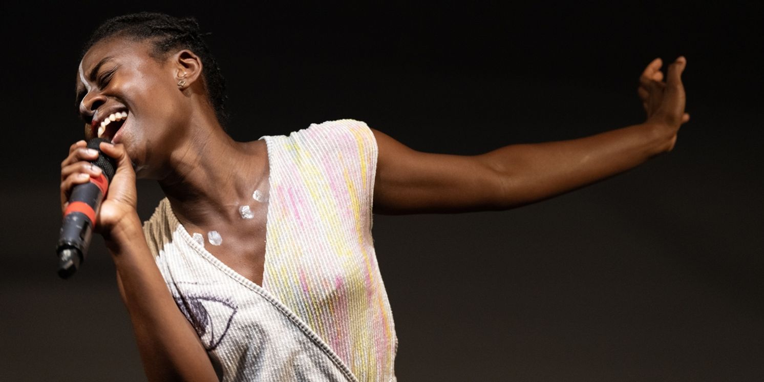 BAX/Brooklyn Arts Exchange Announces EmergeNYC 2024 Applications Are Open!  Image