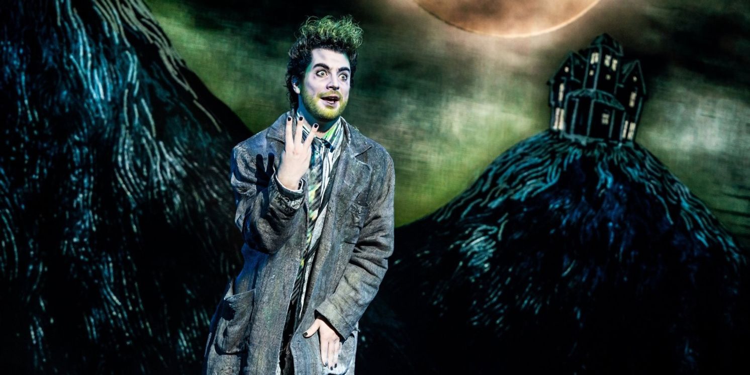 BEETLEJUICE Broadway: Lottery & Rush Ticket Details Revealed  Image