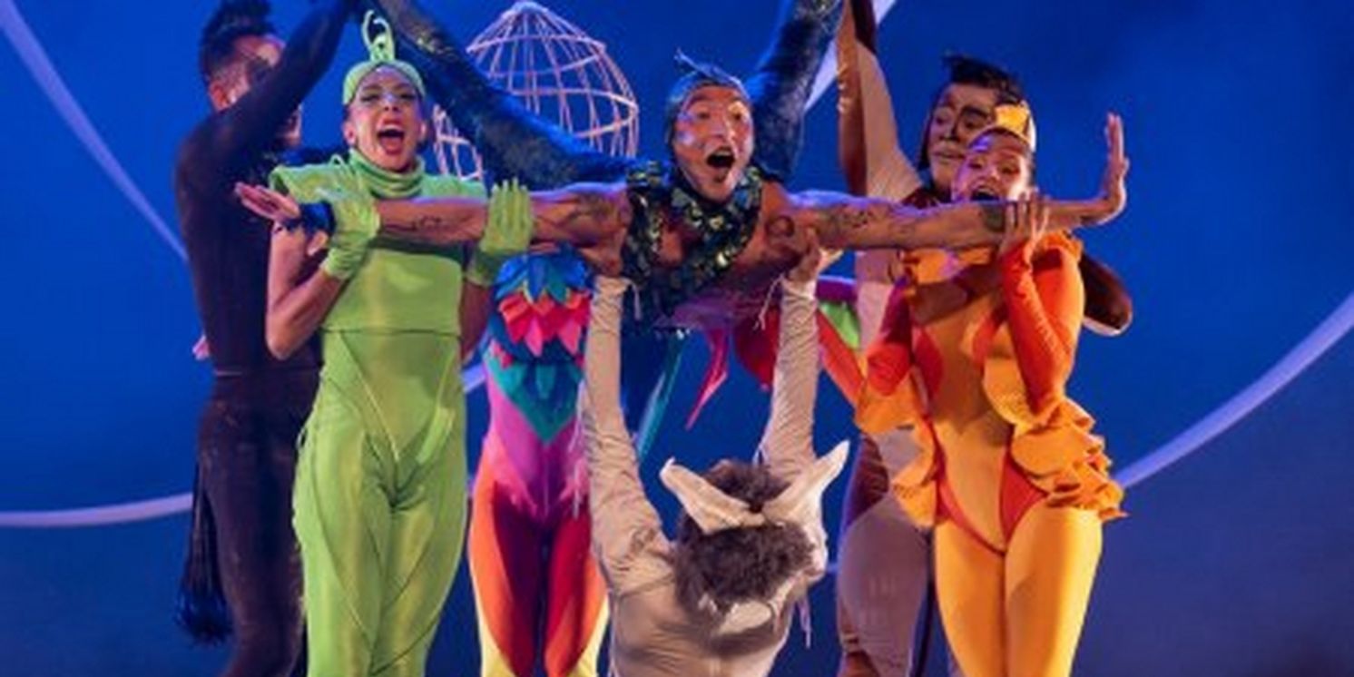 BICHOS DANÇANTES Comes to Theatro Sao Pedro This Weekend  Image