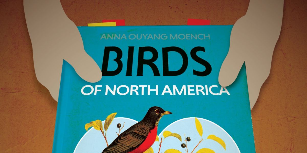 BIRDS OF NORTH AMERICA Comes to Theatre B in 2025