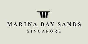 BJÖRN AGAIN - THE ABBA FOREVER TOUR is Coming to Singapore